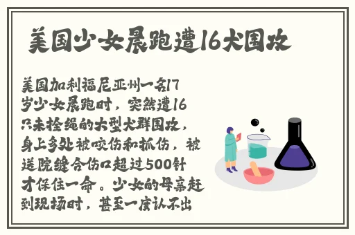 啊 日出水了 用力公子小说